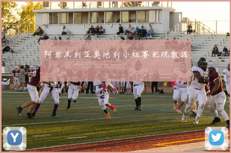 阿尔及利亚奥地利小组赛犯规数据