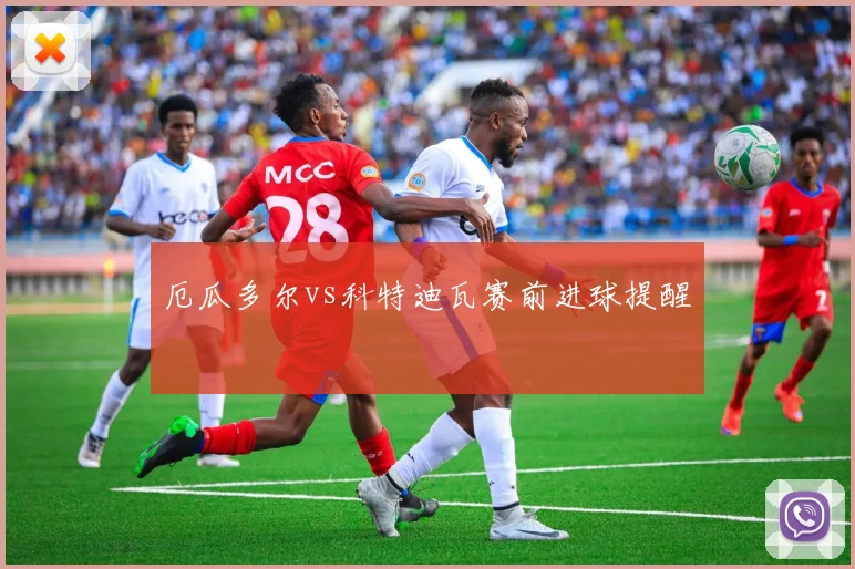 厄瓜多尔vs科特迪瓦赛前进球提醒