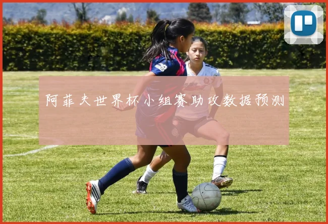 阿菲夫世界杯小组赛助攻数据预测