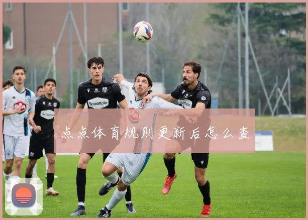 点点体育规则更新后怎么查