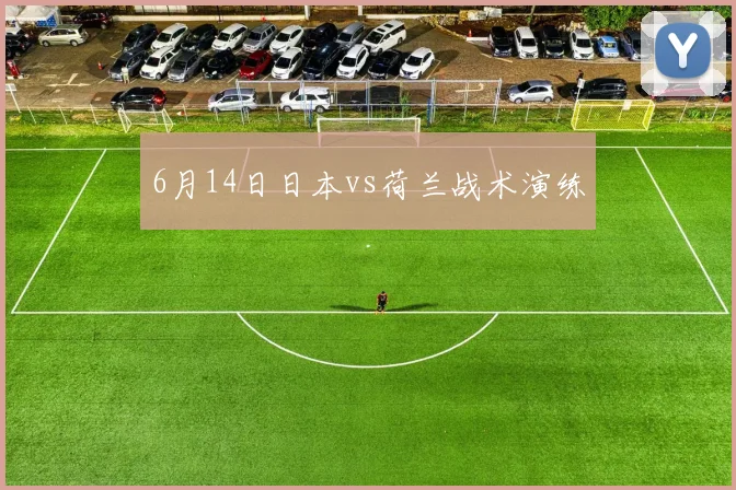 6月14日日本vs荷兰战术演练