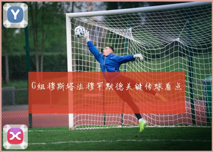G组穆斯塔法穆罕默德关键传球看点